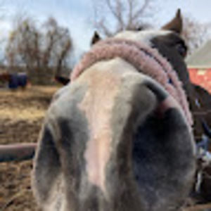 Meet your Posher, Raquel